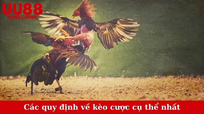 Các quy định về kèo cược cụ thể nhất